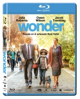 Wonder