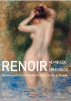Renoir: Admirado y denigrado - DVD