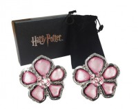 Harry Potter - Pendientes de graduación Hermione